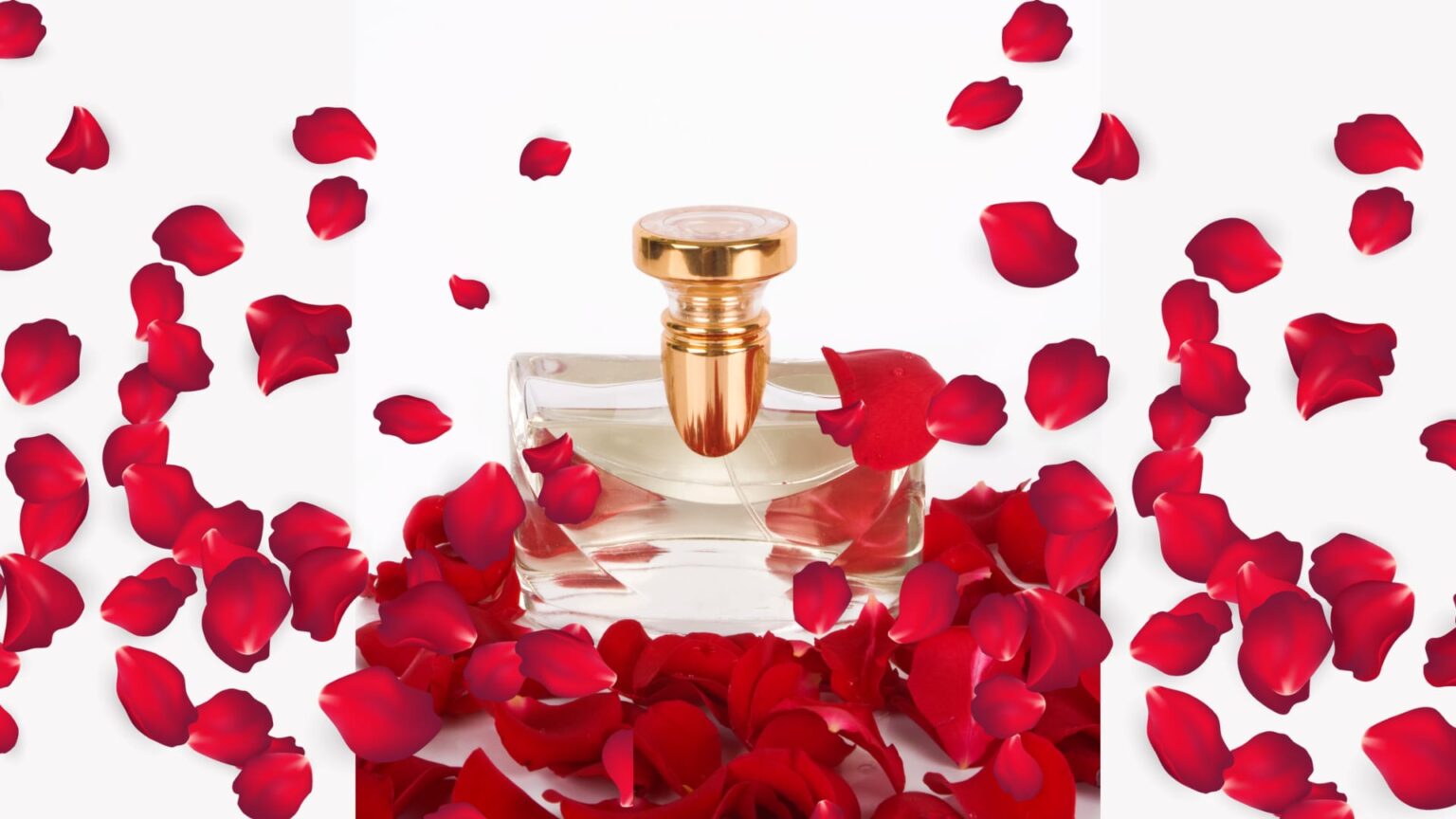 Profumo Model Il profumo – Tania Pellegrini Lookmaker Therapist